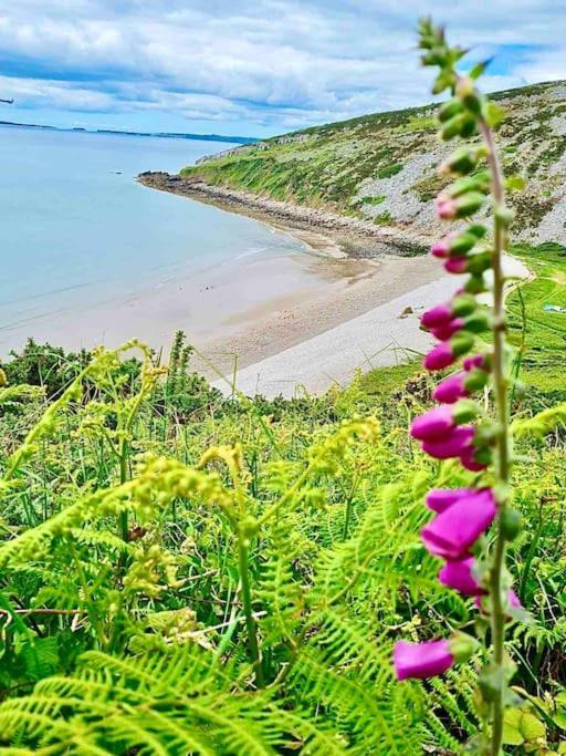 The Mermaids Watch Pendine Dog Friendly With Cymru Holidays Exterior photo